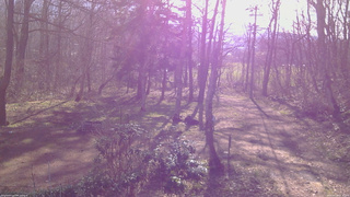 長野県菅平高原 ゆたか山荘 坂上 2026/04/18 07:30