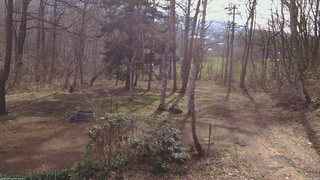 長野県菅平高原 ゆたか山荘 坂上 2026/04/18 08:00