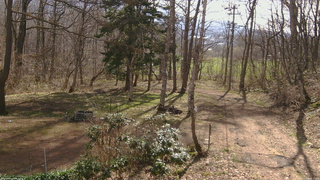 長野県菅平高原 ゆたか山荘 坂上 2026/04/18 08:15