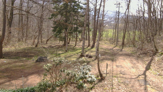 長野県菅平高原 ゆたか山荘 坂上 2026/04/18 08:30