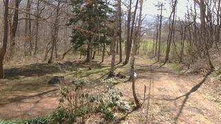 長野県菅平高原 ゆたか山荘 坂上 2026/04/18 08:45