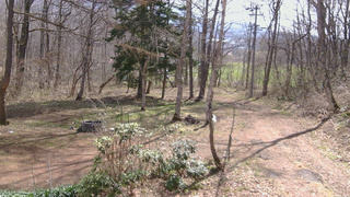 長野県菅平高原 ゆたか山荘 坂上 2026/04/18 09:15