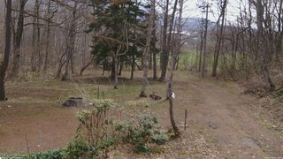 長野県菅平高原 ゆたか山荘 坂上 2026/04/18 09:45