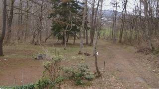 長野県菅平高原 ゆたか山荘 坂上 2026/04/18 10:00