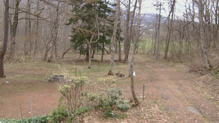 長野県菅平高原 ゆたか山荘 坂上 2026/04/18 10:15