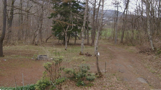長野県菅平高原 ゆたか山荘 坂上 2026/04/18 10:30