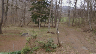 長野県菅平高原 ゆたか山荘 坂上 2026/04/18 11:00