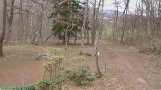 長野県菅平高原 ゆたか山荘 坂上 2026/04/18 11:15