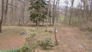 長野県菅平高原 ゆたか山荘 坂上 2026/04/18 11:30