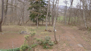 長野県菅平高原 ゆたか山荘 坂上 2026/04/18 12:00