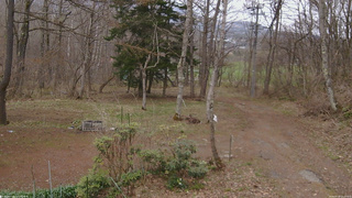 長野県菅平高原 ゆたか山荘 坂上 2026/04/18 12:15