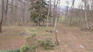 長野県菅平高原 ゆたか山荘 坂上 2026/04/18 12:30