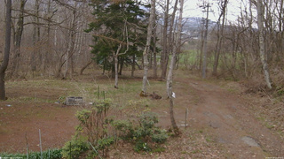 長野県菅平高原 ゆたか山荘 坂上 2026/04/18 12:45