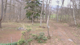 長野県菅平高原 ゆたか山荘 坂上 2026/04/18 13:00