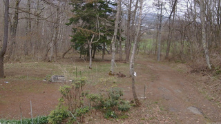 長野県菅平高原 ゆたか山荘 坂上 2026/04/18 13:30
