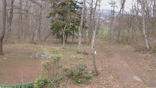 長野県菅平高原 ゆたか山荘 坂上 2026/04/18 14:00