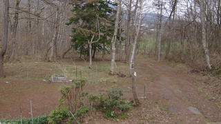 長野県菅平高原 ゆたか山荘 坂上 2026/04/18 14:15