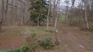 長野県菅平高原 ゆたか山荘 坂上 2026/04/18 14:30