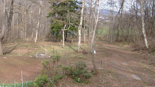 長野県菅平高原 ゆたか山荘 坂上 2026/04/18 15:15