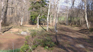 長野県菅平高原 ゆたか山荘 坂上 2026/04/18 15:30