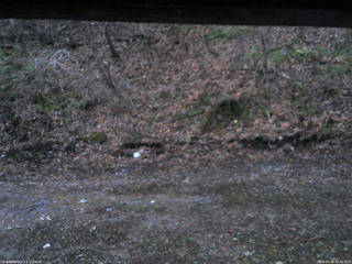 長野県菅平高原 ゆたか山荘 東側(坂下) 2026/04/19 05:00