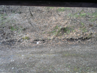 長野県菅平高原 ゆたか山荘 東側(坂下) 2026/04/19 06:30