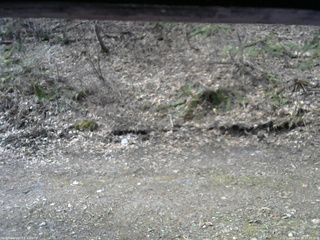 長野県菅平高原 ゆたか山荘 東側(坂下) 2026/04/19 07:45