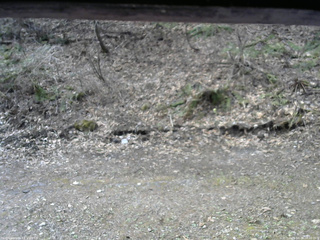 長野県菅平高原 ゆたか山荘 東側(坂下) 2026/04/19 08:00