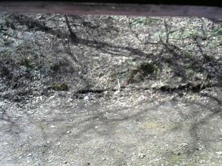 長野県菅平高原 ゆたか山荘 東側(坂下) 2026/04/19 09:00