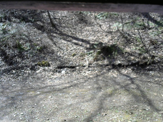 長野県菅平高原 ゆたか山荘 東側(坂下) 2026/04/19 09:15