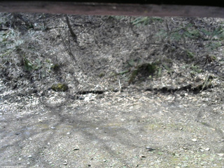 長野県菅平高原 ゆたか山荘 東側(坂下) 2026/04/19 10:00