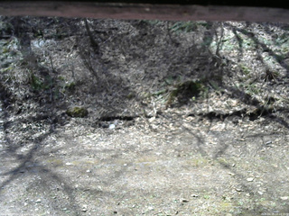 長野県菅平高原 ゆたか山荘 東側(坂下) 2026/04/19 10:15