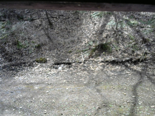 長野県菅平高原 ゆたか山荘 東側(坂下) 2026/04/19 10:30