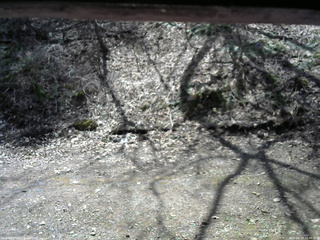 長野県菅平高原 ゆたか山荘 東側(坂下) 2026/04/19 10:45