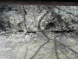 長野県菅平高原 ゆたか山荘 東側(坂下) 2026/04/19 11:00