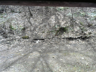長野県菅平高原 ゆたか山荘 東側(坂下) 2026/04/19 11:30