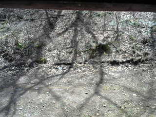 長野県菅平高原 ゆたか山荘 東側(坂下) 2026/04/19 12:00