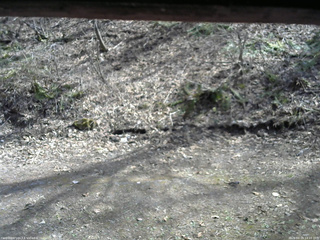 長野県菅平高原 ゆたか山荘 東側(坂下) 2026/04/19 14:15