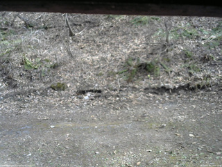 長野県菅平高原 ゆたか山荘 東側(坂下) 2026/04/19 14:45