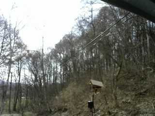 長野県菅平高原 ゆたか山荘 温度計 2026/04/19 08:00