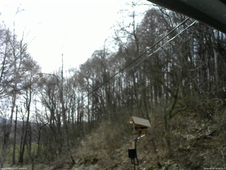 長野県菅平高原 ゆたか山荘 温度計 2026/04/19 08:45