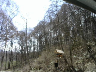 長野県菅平高原 ゆたか山荘 温度計 2026/04/19 09:30