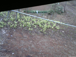 長野県菅平高原 ゆたか山荘 駐車場 2026/04/19 05:30