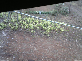 長野県菅平高原 ゆたか山荘 駐車場 2026/04/19 05:45