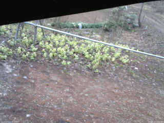 長野県菅平高原 ゆたか山荘 駐車場 2026/04/19 06:00