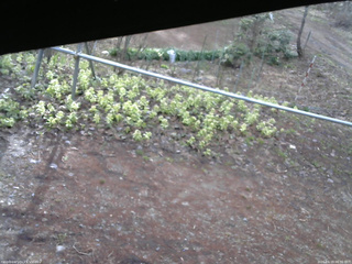 長野県菅平高原 ゆたか山荘 駐車場 2026/04/19 06:30