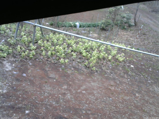 長野県菅平高原 ゆたか山荘 駐車場 2026/04/19 06:45