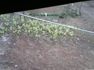 長野県菅平高原 ゆたか山荘 駐車場 2026/04/19 07:00