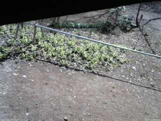 長野県菅平高原 ゆたか山荘 駐車場 2026/04/19 09:15