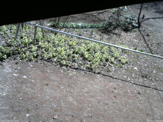長野県菅平高原 ゆたか山荘 駐車場 2026/04/19 09:30